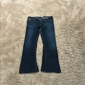 Abercrombie & Fitch Blue Flare Wide Leg Jeans